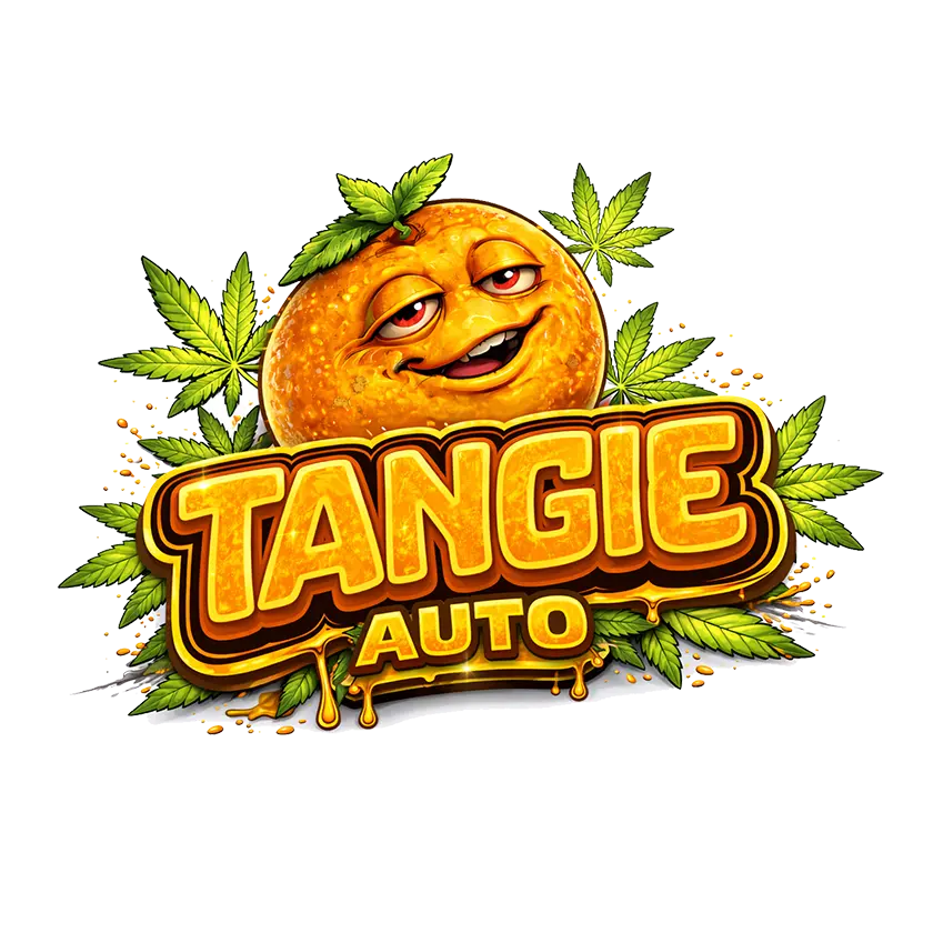 Tangie Auto