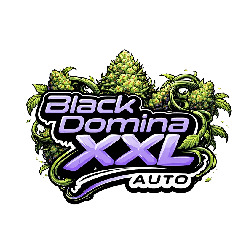 Black Domina XXL Auto